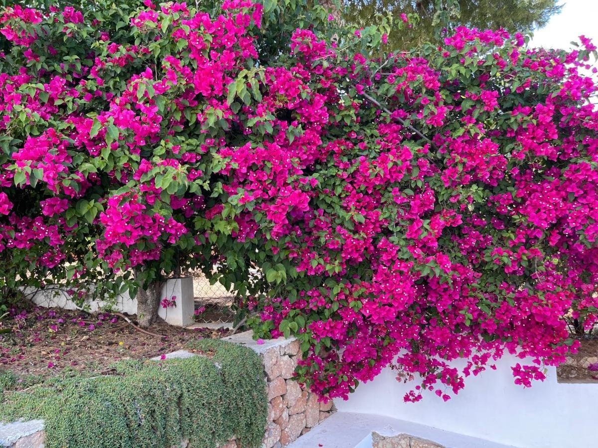 Es Queixal - Can Canet Con Piscina Exterior Climatizada Кала-Ваделья Экстерьер фото